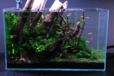 Top 10 Best Aquariums of 2026